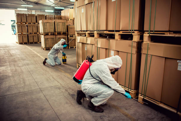 Best Ant Control Services  in Spring Valley, IL