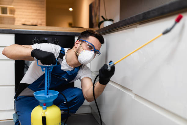 Best Wildlife Control Services  in Spring Valley, IL