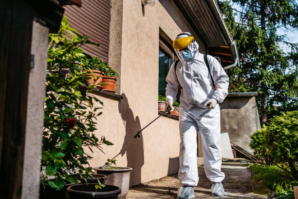 Best Pest Prevention Services  in Spring Valley, IL