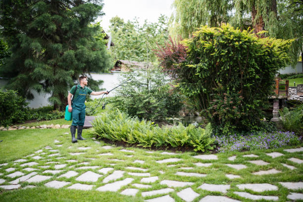 Best Pest Removal Services  in Spring Valley, IL