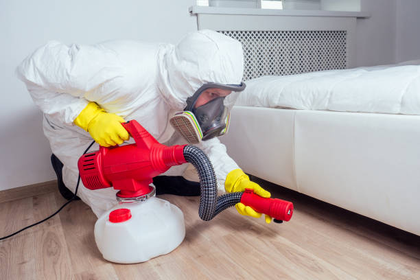 Best Pest Removal Services  in Spring Valley, IL