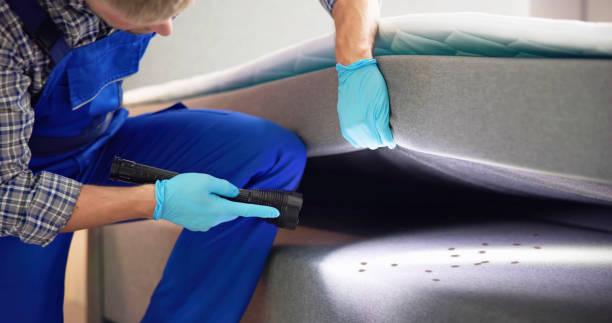 Best Rat Extermination Near Me  in Spring Valley, IL