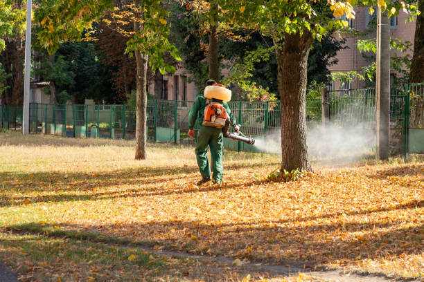 Best Rodent Control Near Me  in Spring Valley, IL